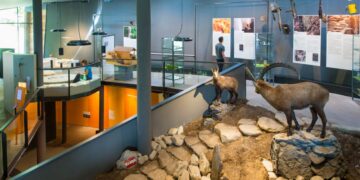 Wyprawy naukowe śladami Ötziego w Schnalstal